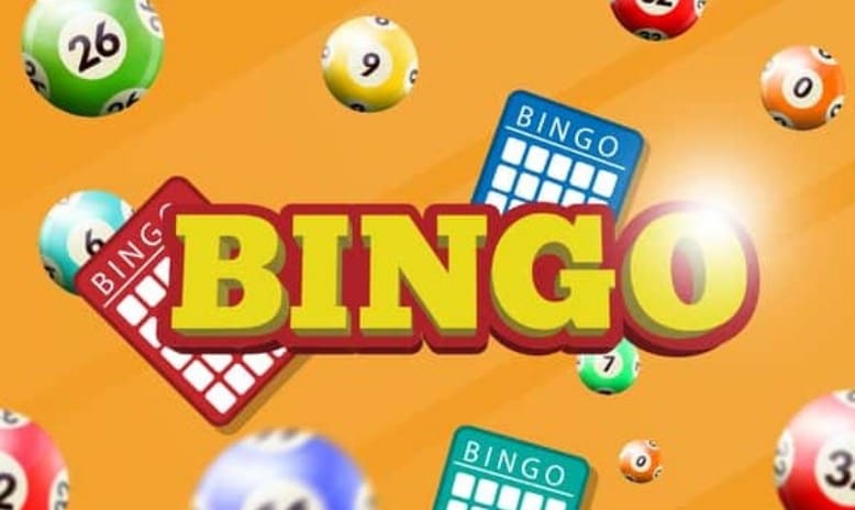 bingo bankroll
